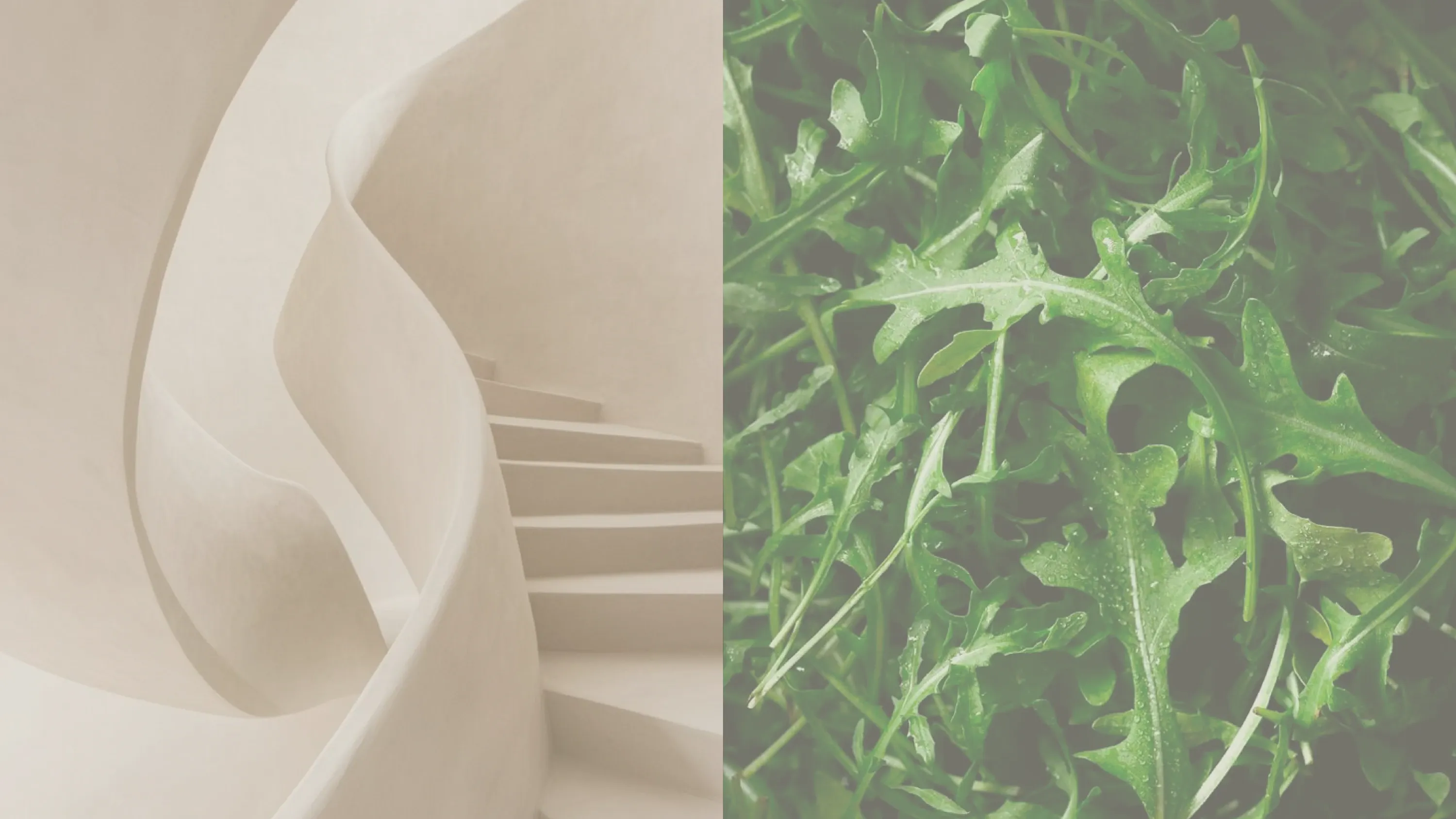 Composición de dos imágenes: una escalera escultural en tonos crema y un primer plano de hojas frescas de rúcula