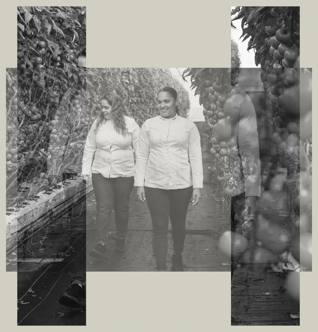Dos mujeres caminando por un invernadero — collage en blanco y negro con forma de H